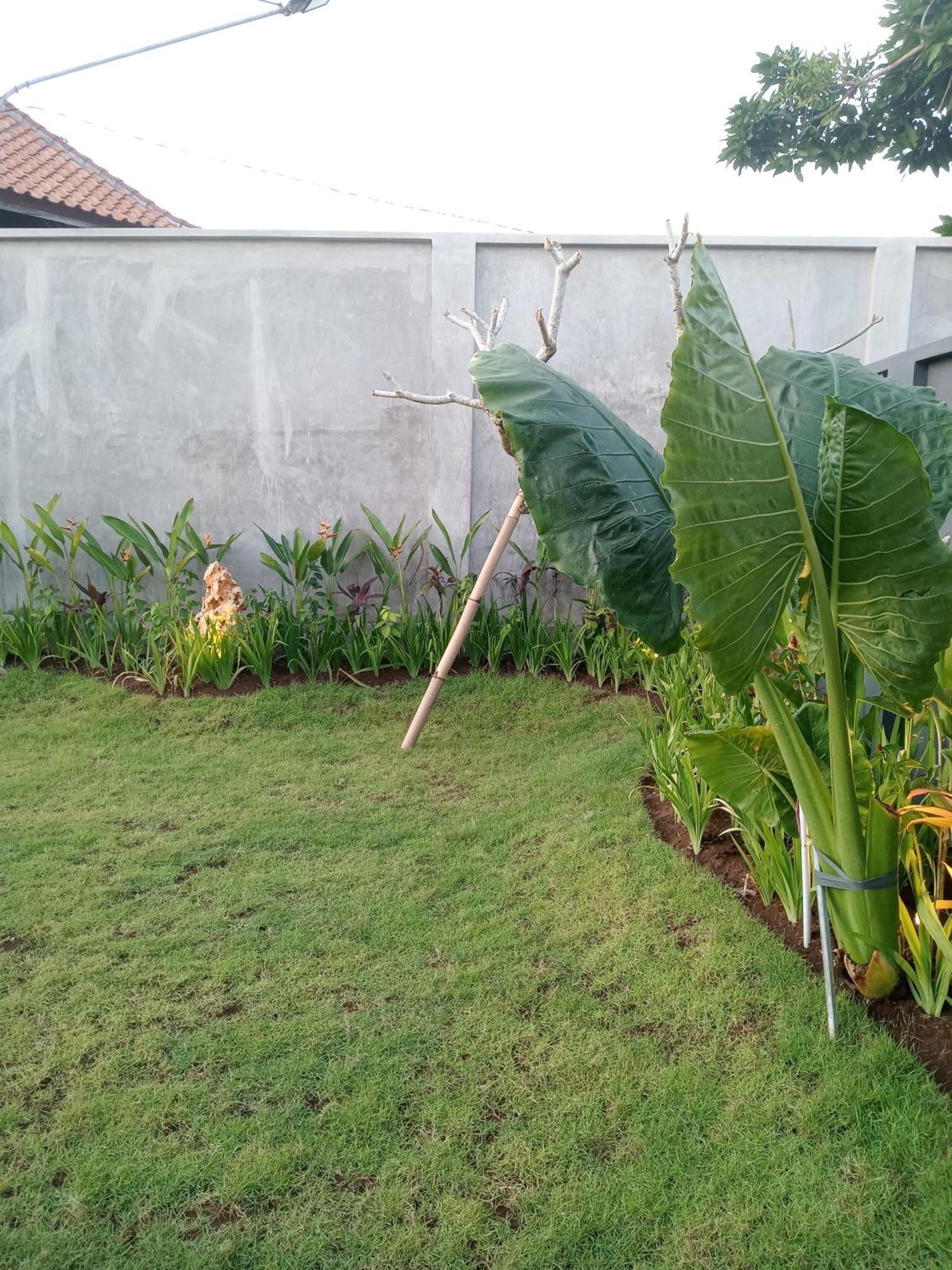 Parama Homestay Balangan Uluwatu Exteriör bild