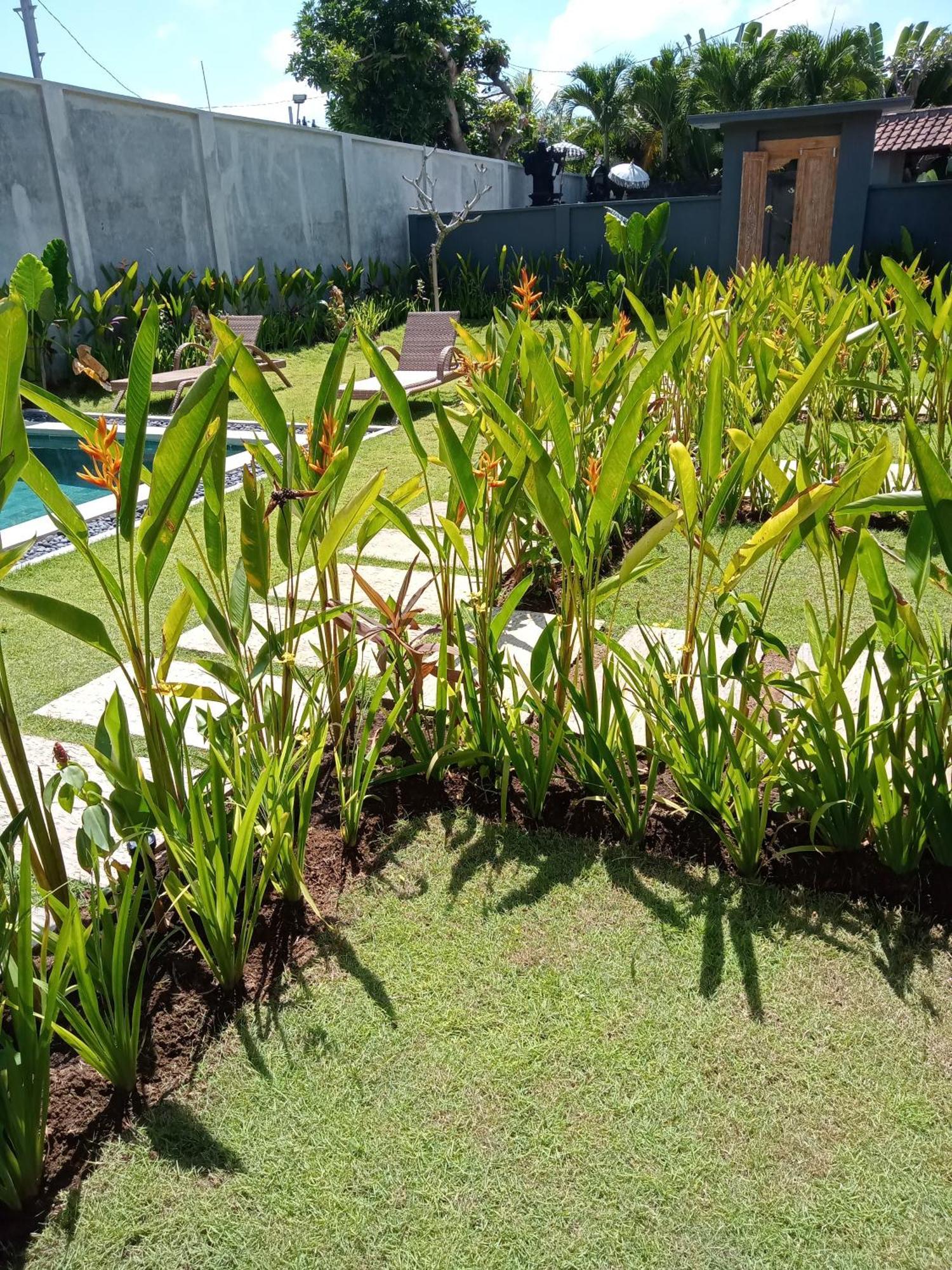 Parama Homestay Balangan Uluwatu Exteriör bild